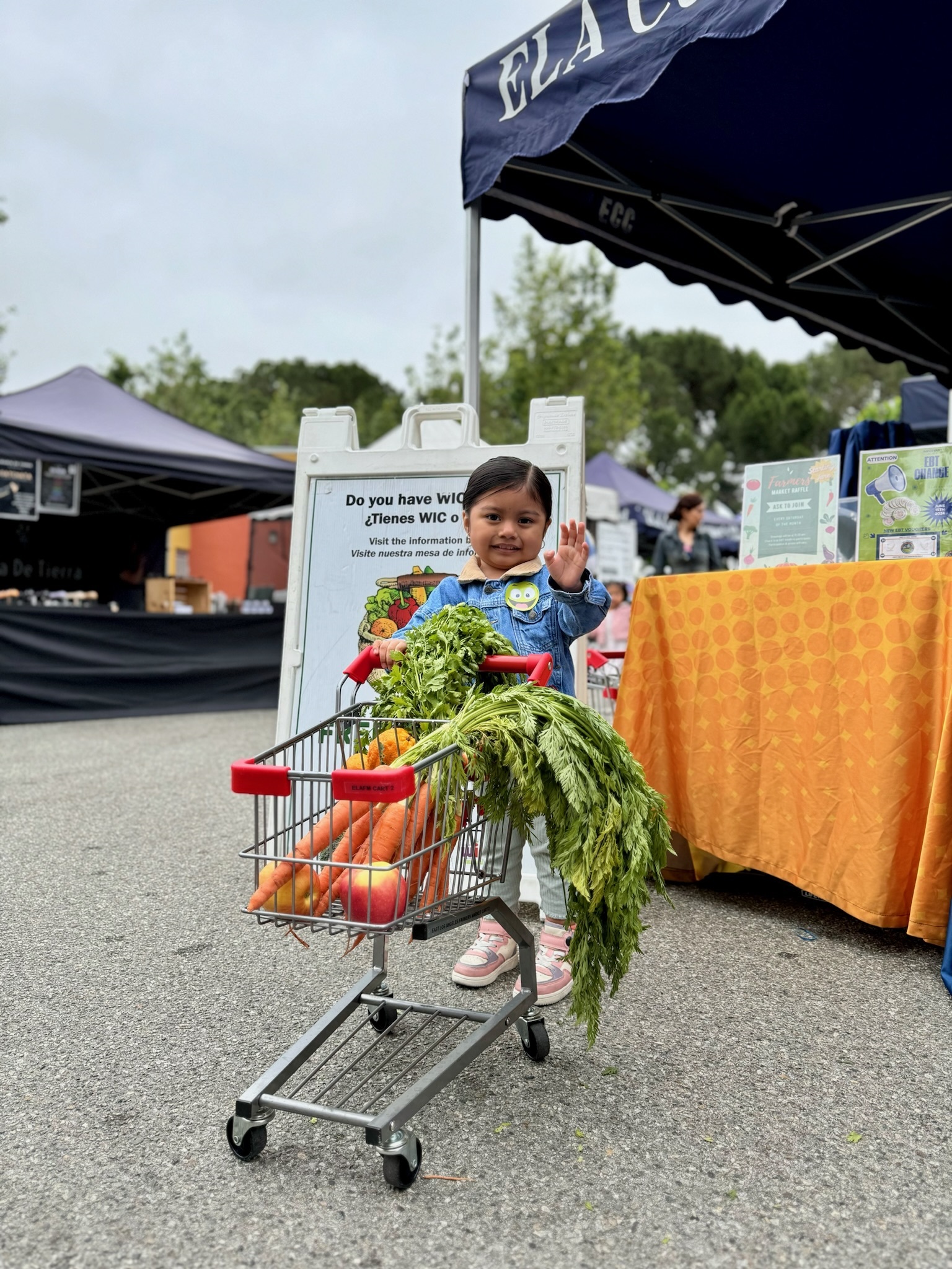 California WIC is OPEN During Government Shutdown - PHFE WIC